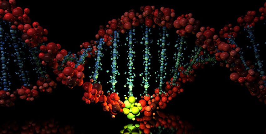 Hacking Evolution: CRISPR’s Audacious Mission to Edit Humanity’s Genetic Code Is Now Here.
